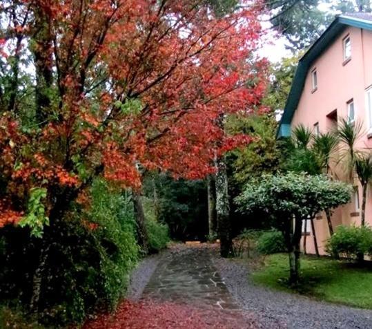 Apartamento Familia Sirangelo Gramado Exterior photo